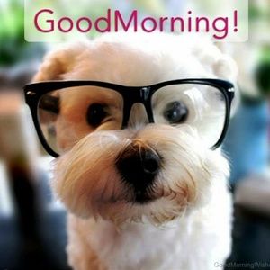 Meet your Posher, Dave